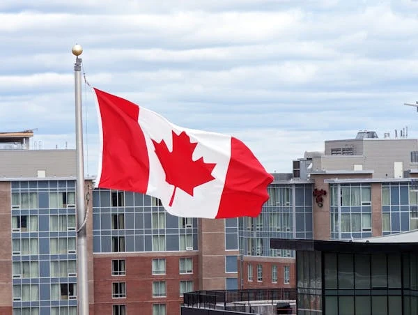 what are the visa options for non-canadian citizens to work in canada